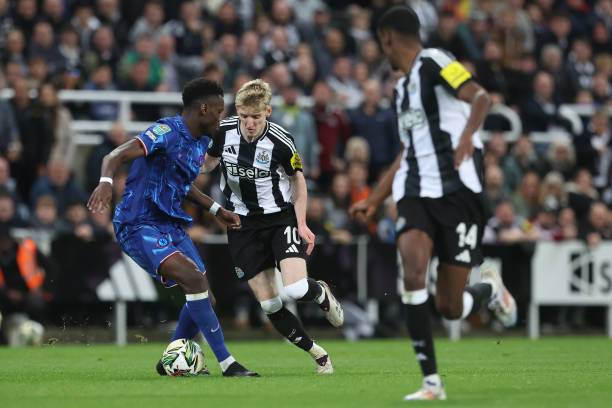 它展示了熱 它展示了熱